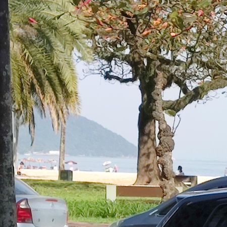 Apartamento Na Praia Do Gonzaga Сантос Екстериор снимка